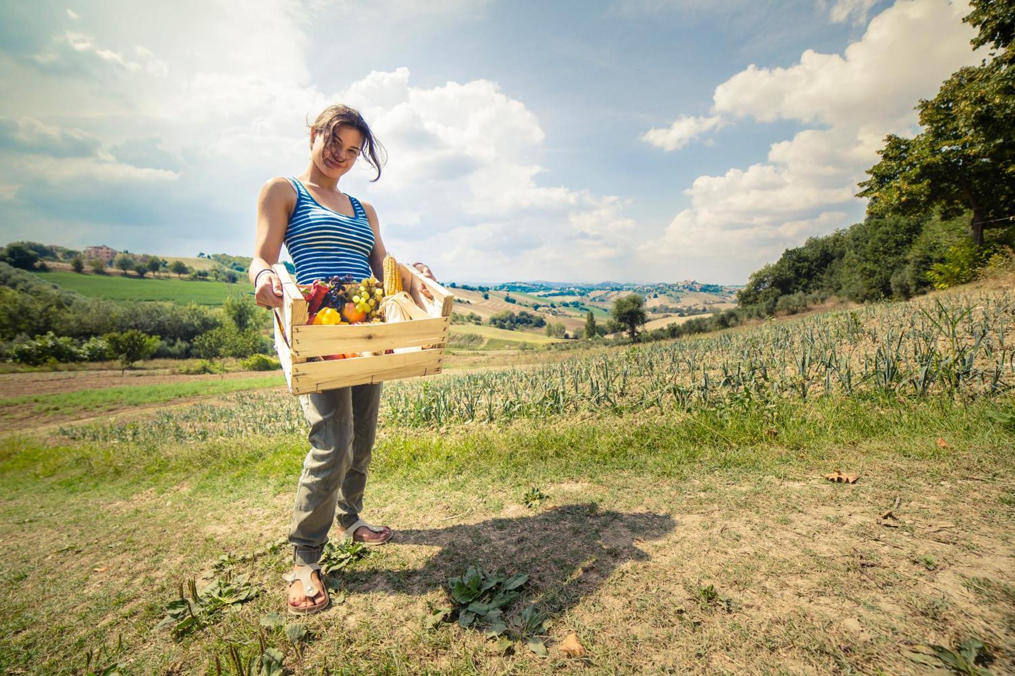 Agriturismo Fonte Carella Monte San Pietrangeli Bagian luar foto